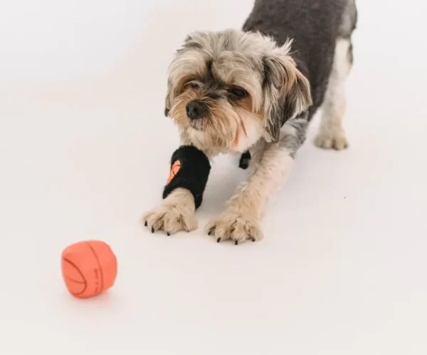 product-thumb-14_optimized Interactive Dog Ball